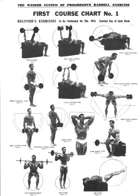 Joe Weider Exercise Chart